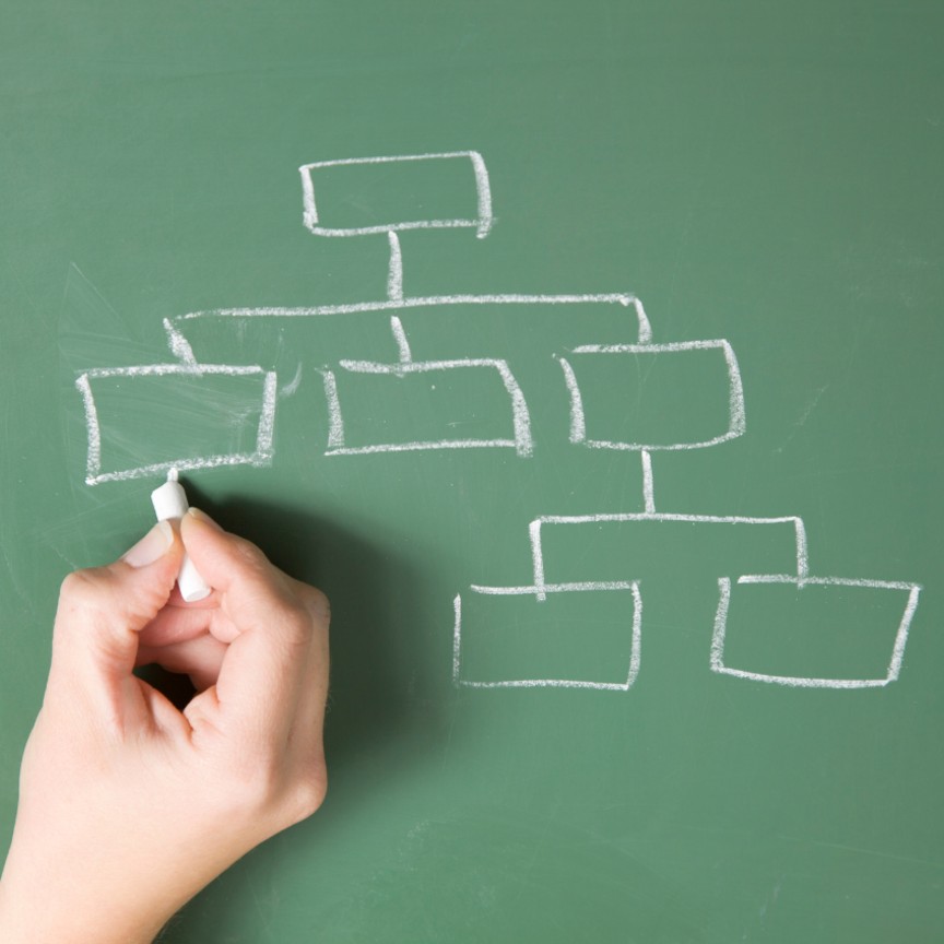 OCTAPACE Culture Assessment